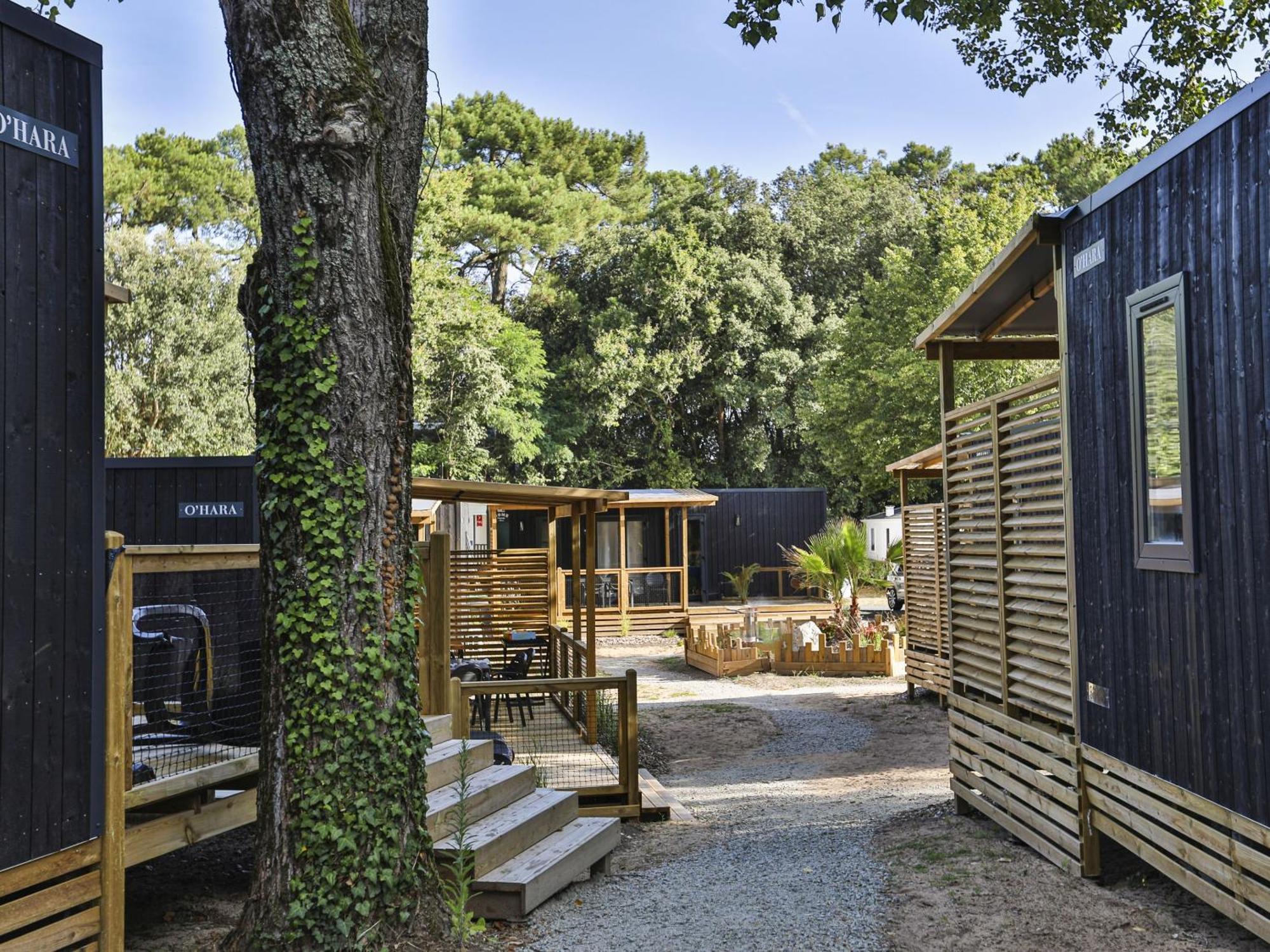 Domaine Residentiel De Plein Air Les Dunes Longeville-sur-Mer Εξωτερικό φωτογραφία